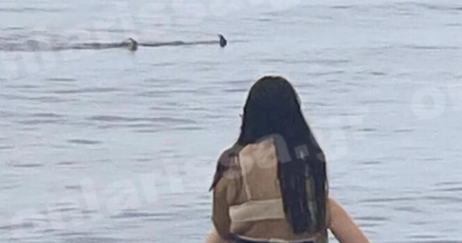 Τρόμος για λουόμενους στη Λάρισα: Καρχαρίας κάνει τη βόλτα του δίπλα στην παραλία