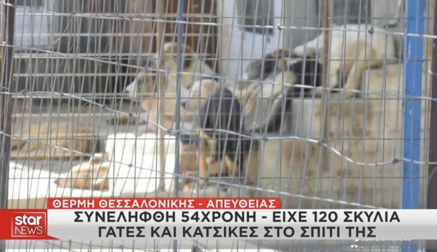 Θεσσαλονίκη: Είχε στο Σπίτι 120 Σκυλιά, 70 Γάτες & 10 Κατσίκες – Συνελήφθη 54χρονη