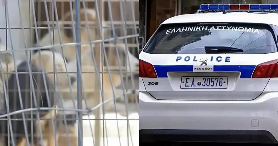 Θεσσαλονίκη: Είχε στο Σπίτι 120 Σκυλιά, 70 Γάτες & 10 Κατσίκες – Συνελήφθη 54χρονη