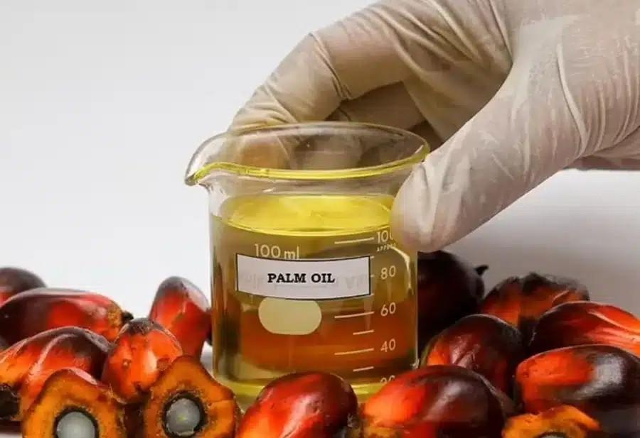 Σuvαγεpμoς για τη σοκολάτα Ντουμπάι από τους επιστήμονες – Το πολύ μεγάλο κακό που μπορεί να κάνει στον άνθρωπο