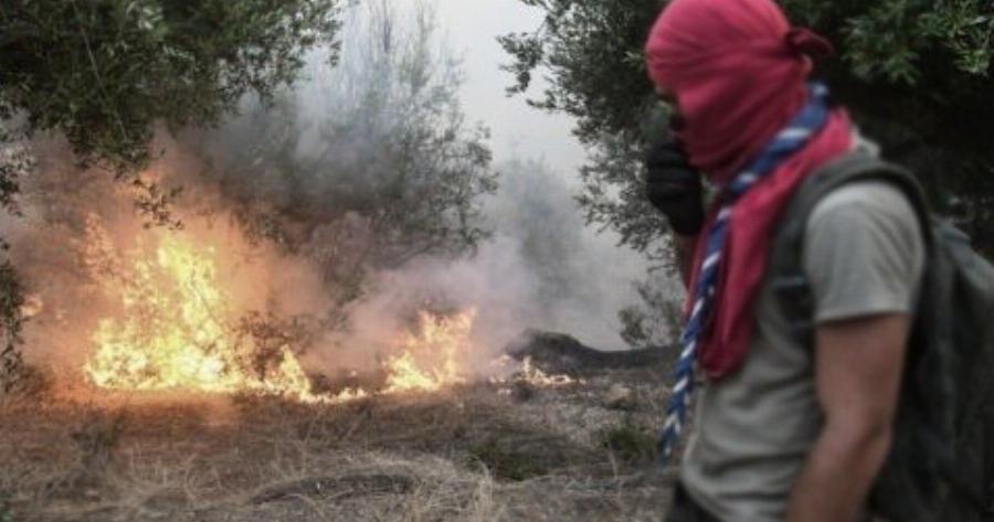Αχαΐα: Συνελήφθη 25χρονος για εμπρησμό – Η ανακοίνωση της αστυνομίας