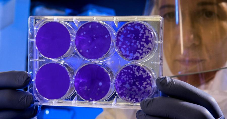 Συναγερμός τώρα για νέα πανδημία: Ο ιός που αντέχει στο ανοσοποιητικό