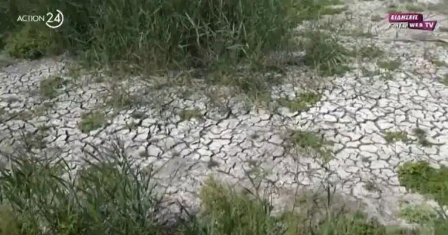 Μεγάλη λίμνη της Ελλάδας εκπέμπει SOS – «Στέγνωσε» από την λειψυδρία – Σοκάρουν οι εικόνες