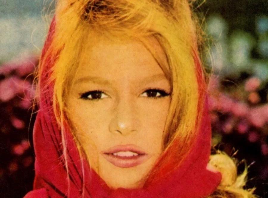 «Πλήρωνε» όσο όσο για να μην κυκλοφορήσουν: 10 φωτογραφίες της Βουγιουκλάκη πριν από τις πλαστικές – Πραγματικά αγνώριστη