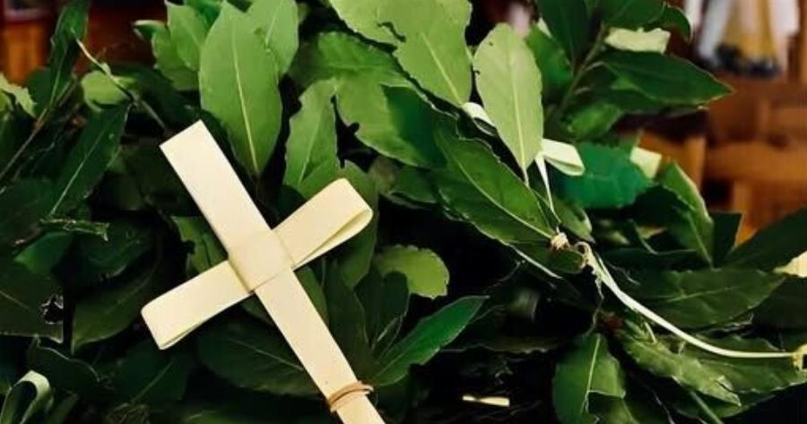 Γιατί αύριο Κυριακή των Βαΐων τρώμε ψάρι;