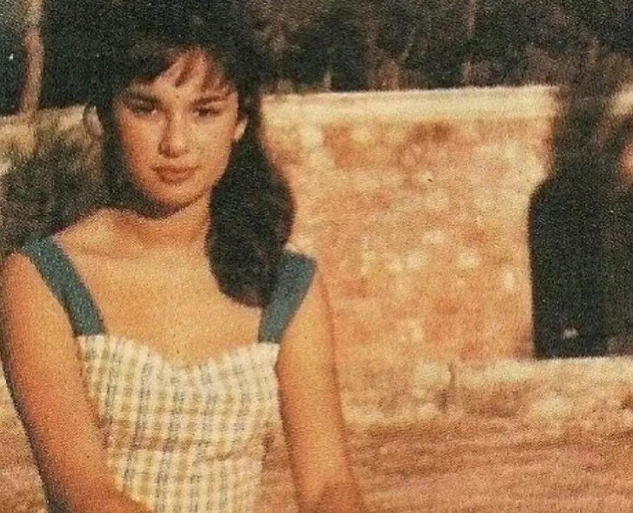 «Πλήρωνε» όσο όσο για να μην κυκλοφορήσουν: 10 φωτογραφίες της Βουγιουκλάκη πριν από τις πλαστικές – Πραγματικά αγνώριστη