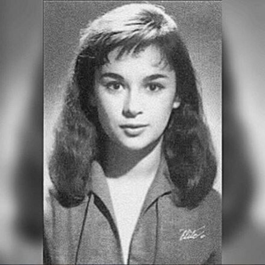 «Πλήρωνε» όσο όσο για να μην κυκλοφορήσουν: 10 φωτογραφίες της Βουγιουκλάκη πριν από τις πλαστικές – Πραγματικά αγνώριστη