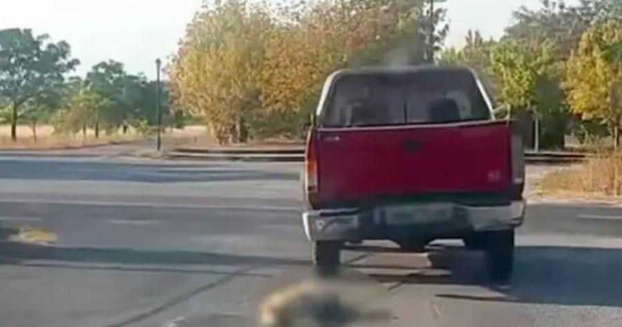 Βρέθηκε, Συνελήφθη και Διώκεται για κακούργημα ο οδηγός που έσερνε σκύλο με αγροτικό – Ελεύθερος με εντολή εισαγγελέα