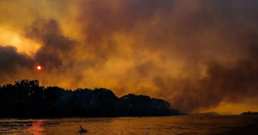 Kαίγεται ο μεγαλύτερος υγροβιότοπος στον κόσμο: Μαυρισμένα δέντρα, νεκρά ζώα και καμένη γη