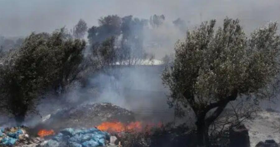 Διδάκτορας πανεπιστημίου συνελήφθη για τέσσερις εμπρησμούς στην Βάρη
