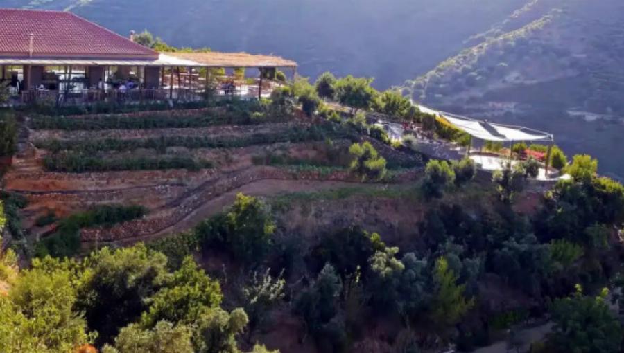 Αυτό είναι το μενού στον γάμο του Στέφανου Κασσελάκη με τον Τάιλερ