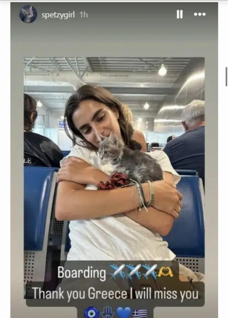 Το γατάκι που έσωσε η τουρίστρια στις Σπέτσες ταξιδεύει για την Αμερική