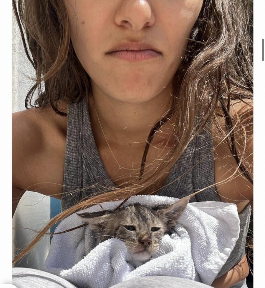 Το γατάκι που έσωσε η τουρίστρια στις Σπέτσες ταξιδεύει για την Αμερική