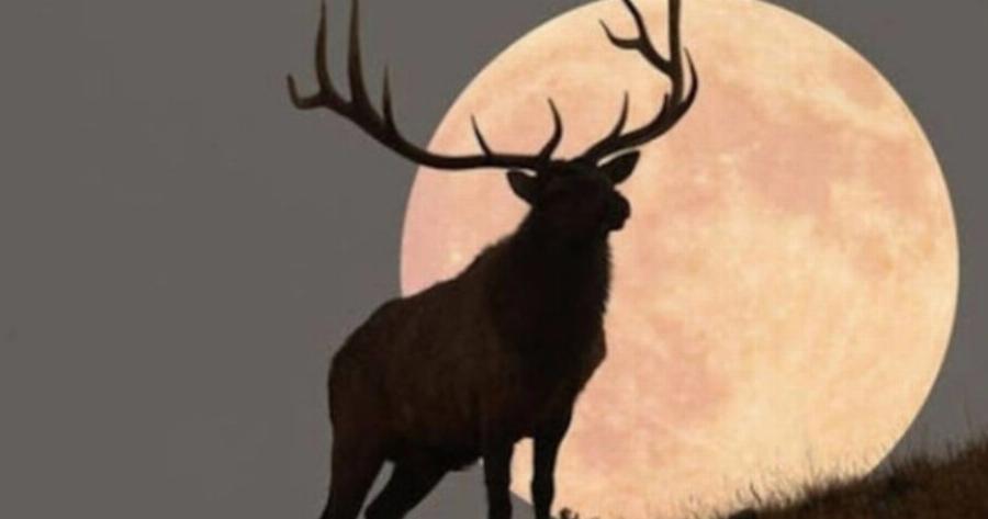 Φεγγάρι του Ελαφιού: Τα 3 ζώδια που επηρεάζει αρνητικά