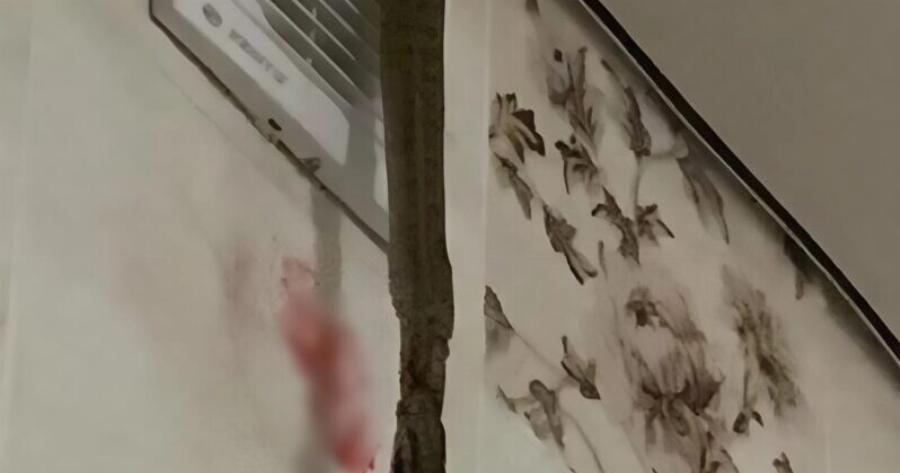 Σήμερα το πρωί, κάτι κρεμόταν από τον αεραγωγό μου, πήγα να δω τι ήταν και πάγωσα από τρόμο.