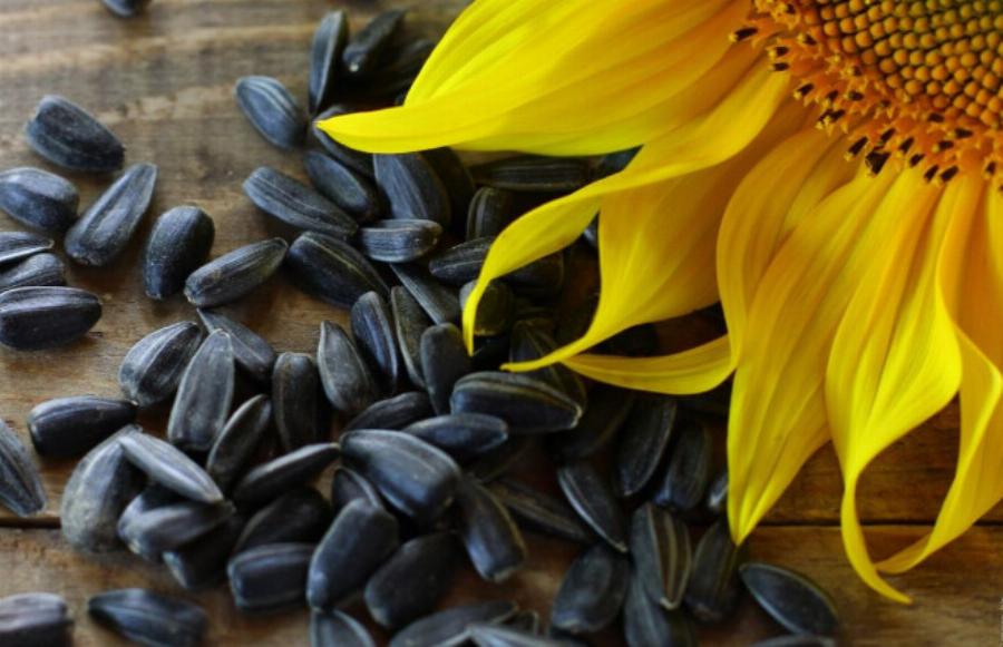 Μικρός αλλά πανίσχυρος: Aυτός ο σπόρος καταπολεμά τον καρκίνο και προστατεύει την καρδιά και τον θυρεοειδή