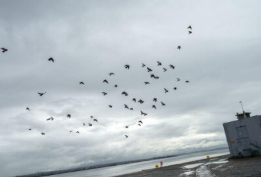 Καιρός: Έρχεται τριήμερη κακοκαιρία – Ποιες περιοχές θα «σαρώσει» η «Ψυχρή Λίμνη» με κεραυνούς και καταιγίδες
