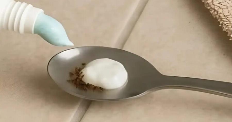 Βάλτε το στο σπίτι σας για 1 ώρα και δεν θα ξαναδείτε μύγες, κουνούπια ή κατσαρίδες