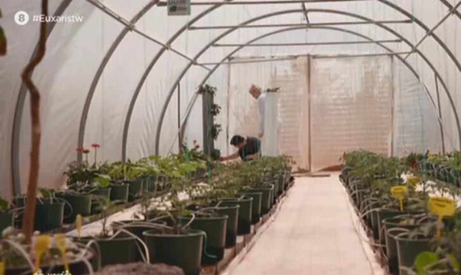 Η έπαυλη Σάκη Ρουβά είναι σαν παλάτι Βασιλιάδων: Tεpάστια πισίνα, αυλή μέσα στο πράσινο, εσωτερικό που ζαλίζει