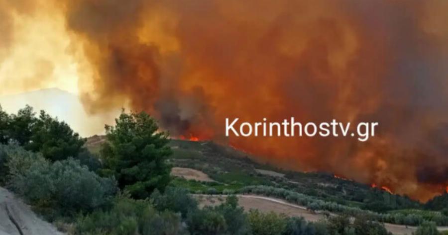 Σοκαριστικές εικόνες: Ανεξέλεγκτη η φωτιά στην Κορινθία, δεν υπάρχει νερό – Επιχειρούν 140 πυροσβέστες, 11 αεροσκάφη, 5 ελικόπτερα
