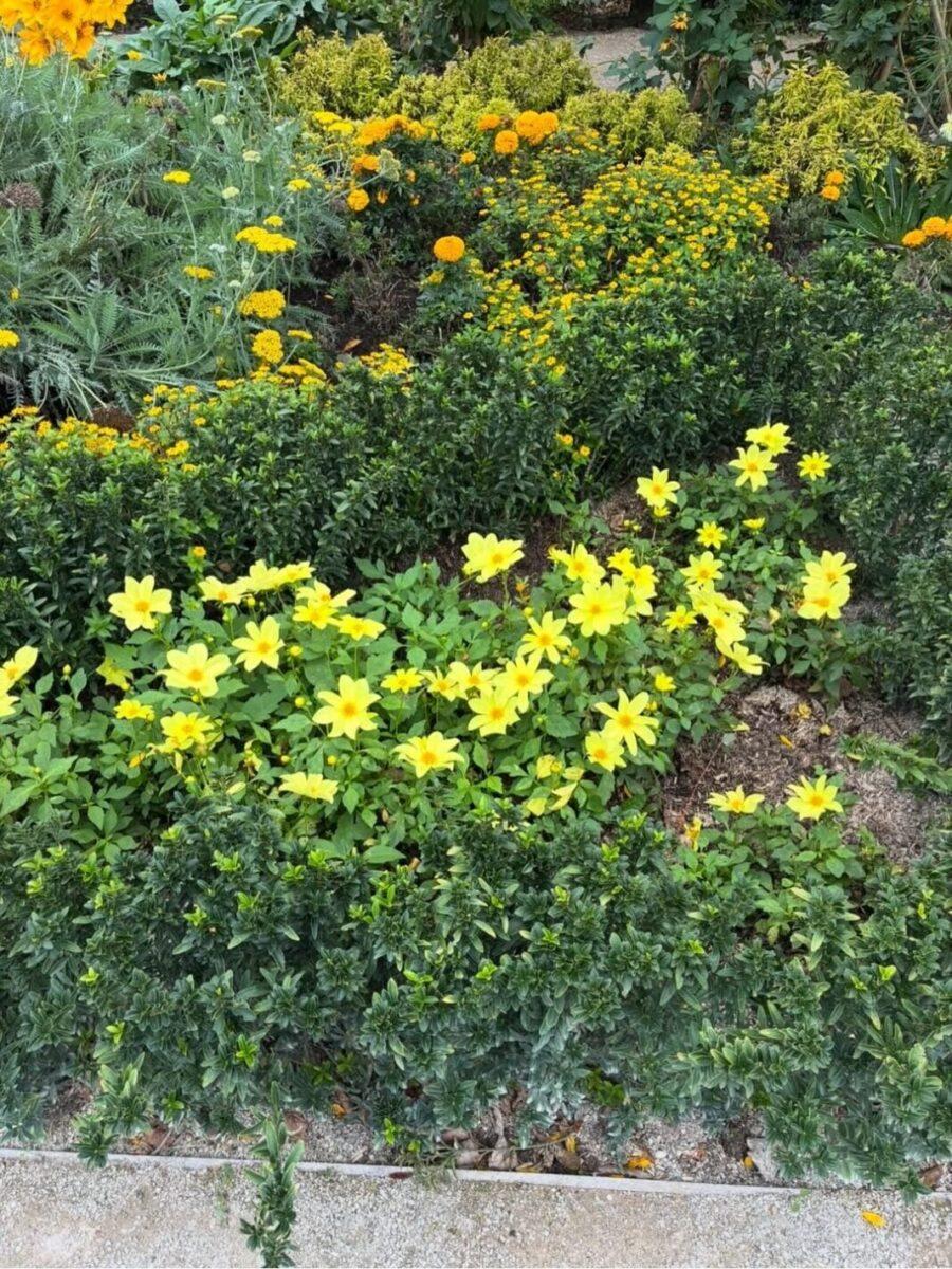 Μιμή Ντενίση: Οι φωτογραφίες από το πασχαλινό τραπέζι με την κόρη της, Μαριτίνα και τον σύντροφό της