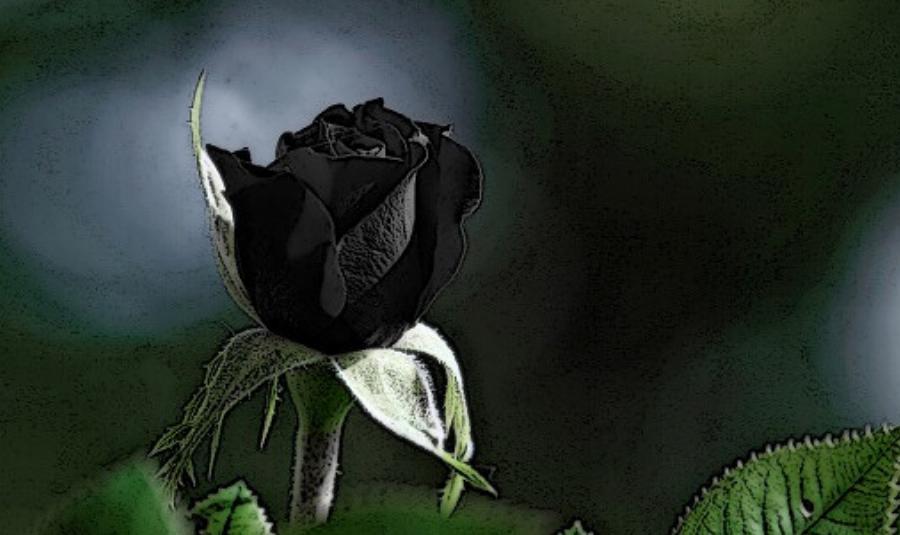 Πέθανε αγαπημένη Ελληνίδα δημοσιογράφος