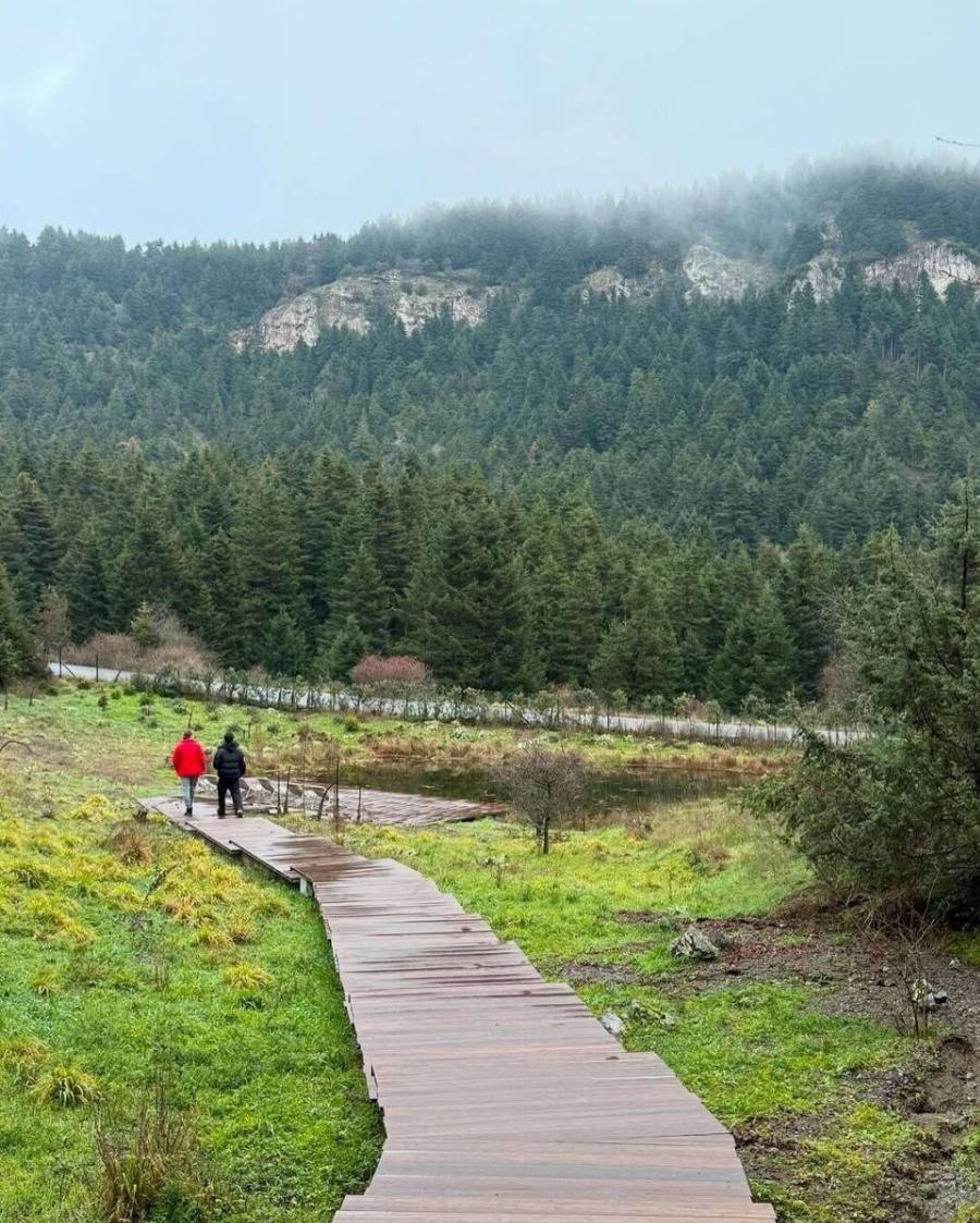 Ελένη Μενεγάκη: Φωτογραφίες από τη χριστουγεννιάτικη απόδρασή της – Η δημόσια έκκληση για την κόρη της