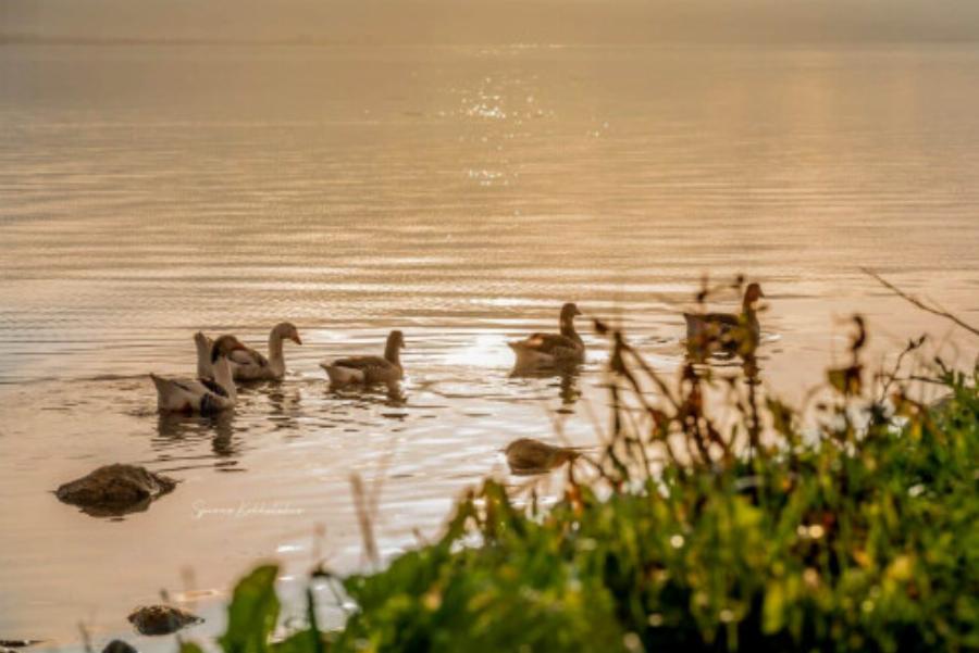 Αν και είναι η πιο μεγάλη λίμνη στην Ελλάδα παραμένει άγνωστη στον περισσότερο κόσμο