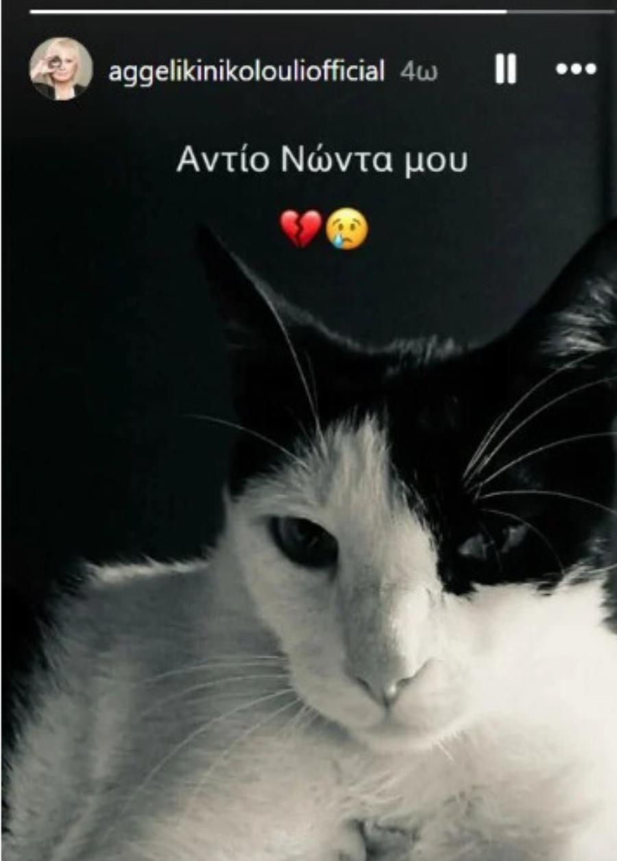 Δύσκολες ώρες για την Αγγελική Νικολούλη – «Αντίο μικρέ μου Νώντα»