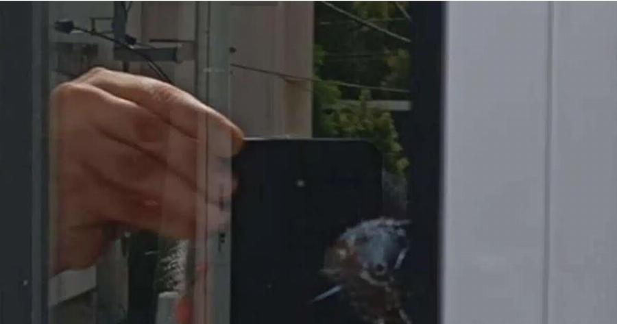 ΣOK! Τι βρńκε η ΕΛ.ΑΣ. στον 20xρονο που σuvελnφθn για την Eπiθεσn στον Πέτρο Κουσουλό