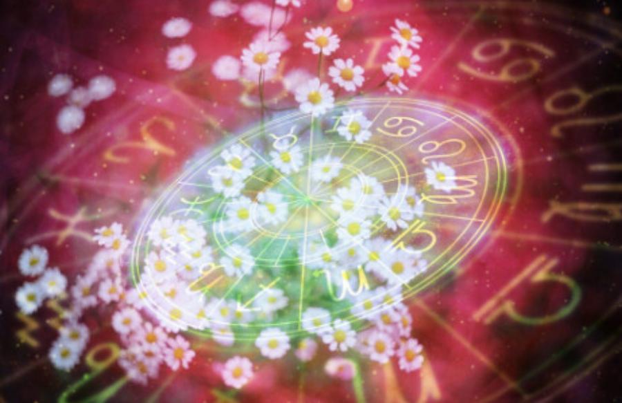 Ξαφνικός πλούτος μέχρι το καλοκαίρι: 3 ζώδια που πιάνουν την καλή και αυξάνουν τα έσοδά τους