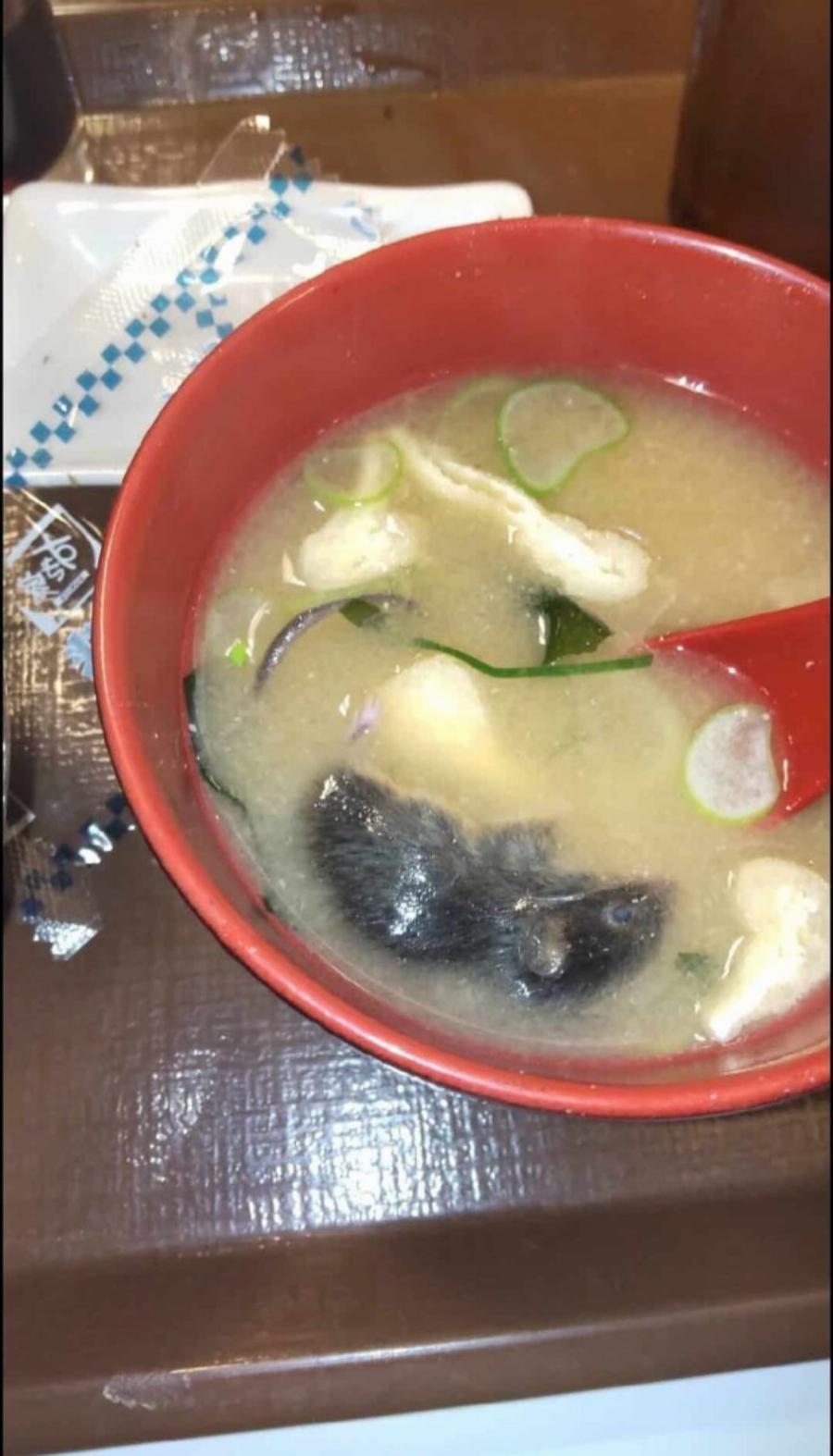 «Λouκέτo» σε καταστήματα γνωστής αλυσίδας ταχυφαγείων – Πovτiκι κι Evτoμo βρέθηκαν σε πιάτα