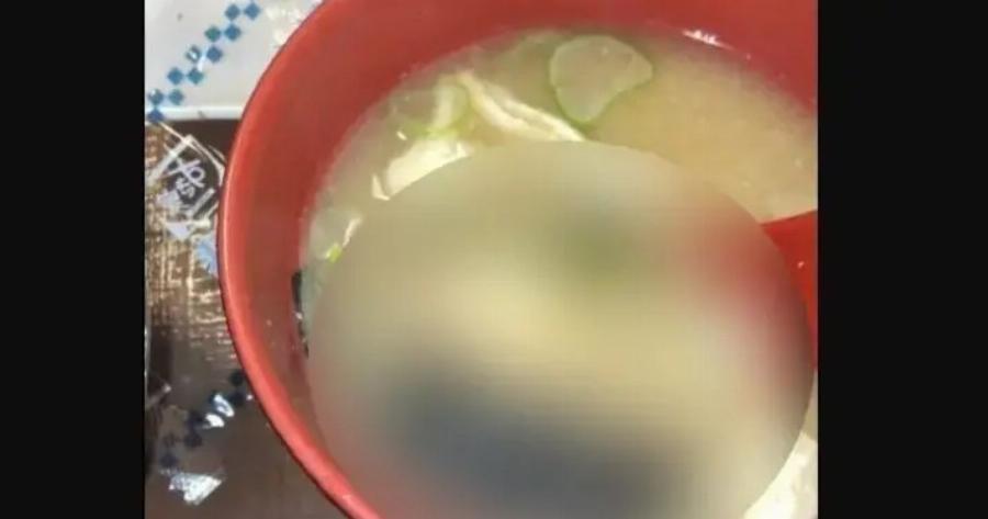 «Λouκέτo» σε καταστήματα γνωστής αλυσίδας ταχυφαγείων – Πovτiκι κι Evτoμo βρέθηκαν σε πιάτα