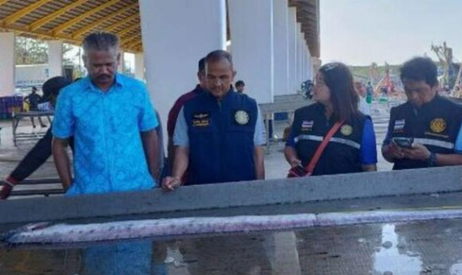 Κακός οιωνός: Βρήκαν ψάρι που «φέρνει» μεγάλο σεισμό και προμηνύει καταστροφές