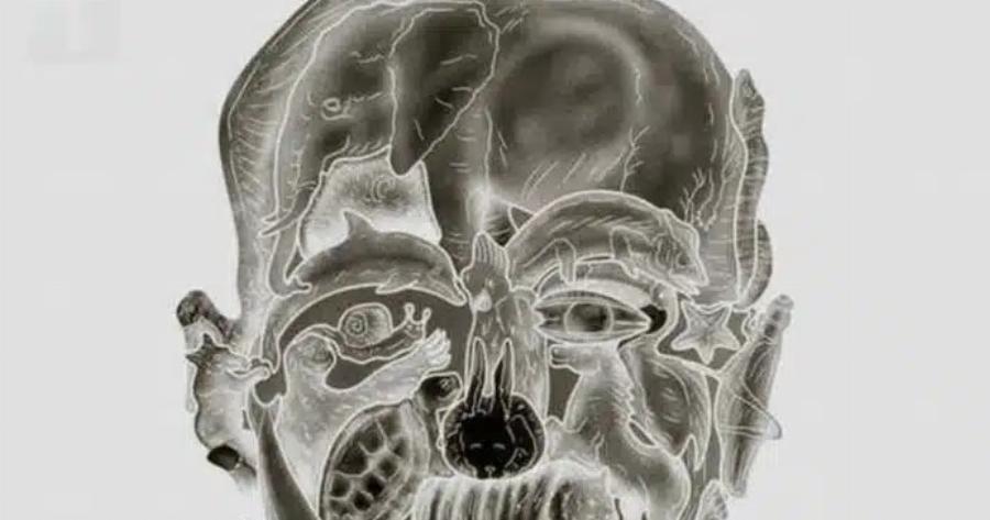 Το περίεργο οπτικό τεστ που υπόσχεται να αποκαλύψει το «χειρότερο ελάττωμά» σας με βάση το πρώτο ζώο που βλέπετε