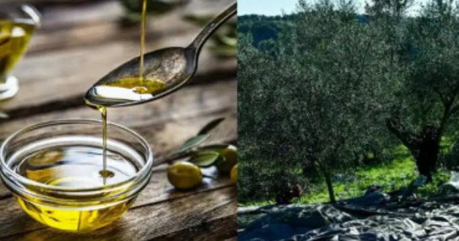 Άσχημα νέα για όλους τους Έλληνες, θα μαγειρεύουν πλέον με σπορέλαιο – Έρχεται το «τέλος» για το ελαιόλαδο