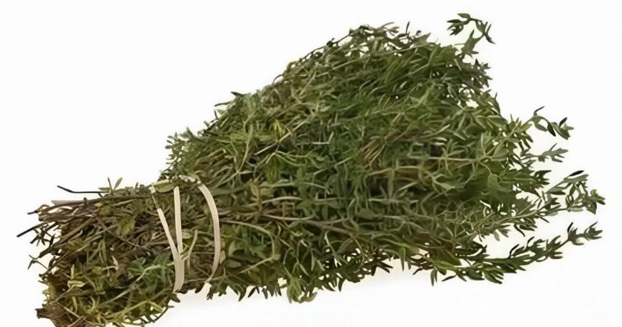 Το πιο ισχυρό βότανο που καταστρέφει παράσιτα, λοιμώξεις του ουροποιητικού συστήματος και της ουροδόχου κύστης, έρπητα, ιούς γρίπης, πόνους στις αρθρώσεις, αρθρίτιδα, ισχιαλγία, κάντιντα