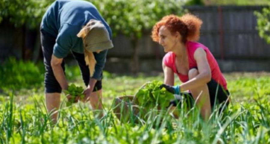 Λήγει σε 4 ημέρες, δεν το ξέρουν ούτε οι λογιστές: Έκτακτο επίδομα 1.000 ευρώ μέσα στο καλοκαίρι για τις μητέρες
