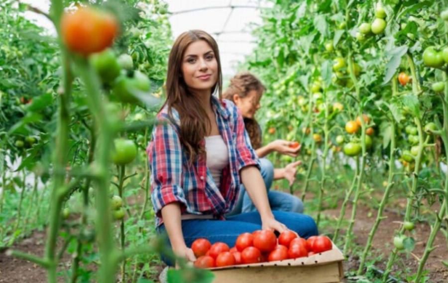 Λήγει σε 4 ημέρες, δεν το ξέρουν ούτε οι λογιστές: Έκτακτο επίδομα 1.000 ευρώ μέσα στο καλοκαίρι για τις μητέρες