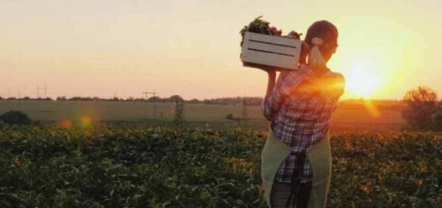 Λήγει σε 4 ημέρες, δεν το ξέρουν ούτε οι λογιστές: Έκτακτο επίδομα 1.000 ευρώ μέσα στο καλοκαίρι για τις μητέρες