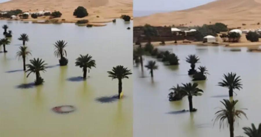 Ο καιρός… τρελάθηκε: Έβρεξε μέχρι και στη Σαχάρα, «πλημμύρισε» η έρημος – Δείτε τις σπάνιες εικόνες
