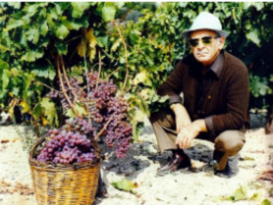 Μετά από 100 χρόνια, ανακοίνωσε το τέλος: Λουκέτο σε μεγάλη ελληνική εταιρεία – Όλοι αγοράζαμε τα προϊόντα της