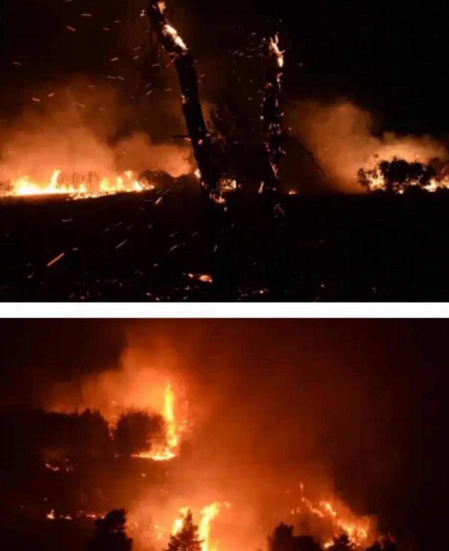 Μεγάλη φωτιά – Εκκενώνεται τώρα κατασκήνωση με 400 παιδιά