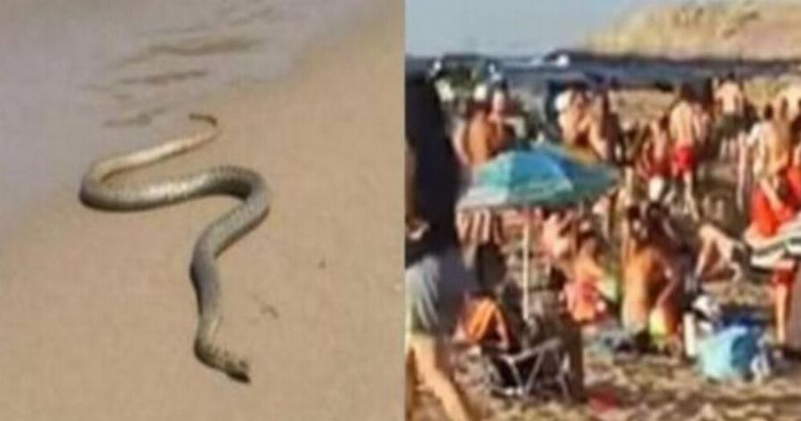 Έτρεχαν όλοι έξω από τη θάλασσα: Χαμός σε ελληνική παραλία, φώναζε ο κόσμος με όσα είδε