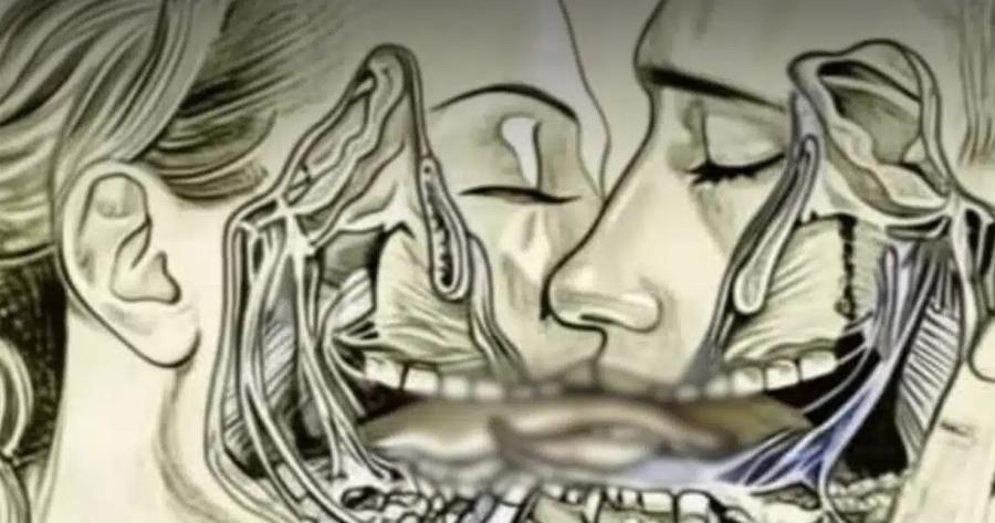 Αυτό συμβαίνει στην πραγματικότητα όταν φιλιόμαστε