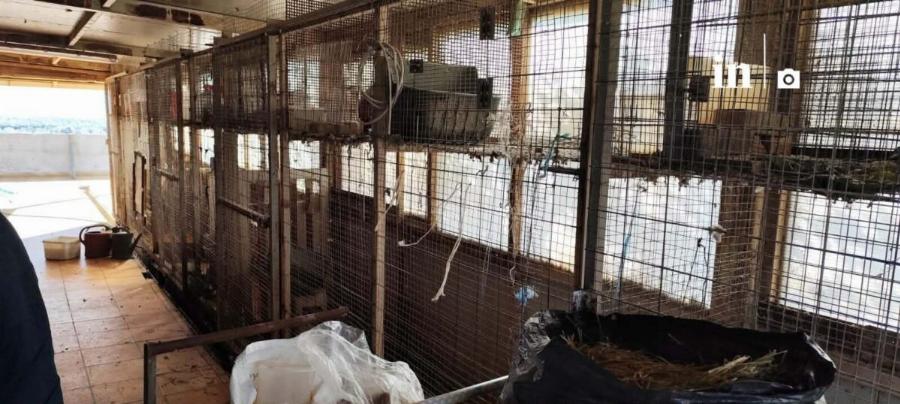 Αυτή είναι η παράνομη στάνη με κατσίκες και κοτόπουλα στον 16ο όροφο του Πύργου Αθηνών στους Αμπελόκηπους