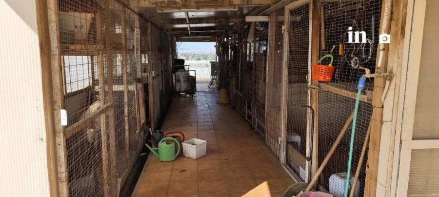 Αυτή είναι η παράνομη στάνη με κατσίκες και κοτόπουλα στον 16ο όροφο του Πύργου Αθηνών στους Αμπελόκηπους
