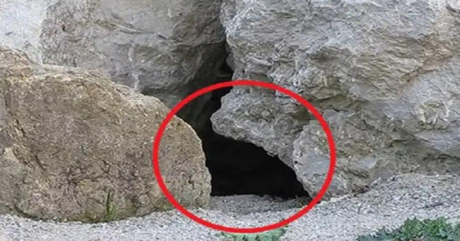 Έβαλαν κάμερα έξω από αυτήν τη σπηλιά. Έπαθαν την πλάκα τους όταν είδαν τι κατέγραψε