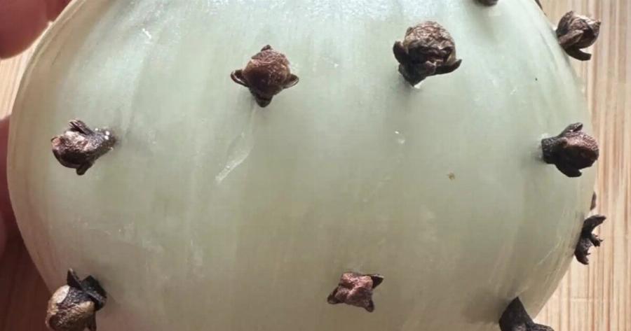 Γαρύφαλλα και κρεμμύδι: Μια διαχρονική παράδοση με σύγχρονα οφέλη