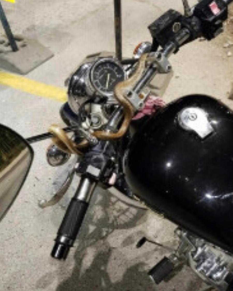 Τρόμος για μοτοσικλετιστή στην Ηγουμενίτσα: Φίδι τυλίχθηκε εν κινήσει στο τιμόνι της μηχανής (Απίστευτες φωτογραφίες)